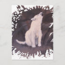 Search for howling arctic wolf Animal