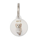 Search for dog collars Dogs