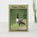 Search for goose birthday cards Birds