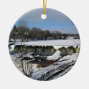Search for milwaukee ornaments Winter