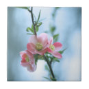 Recherche de blossom carreaux Printemps