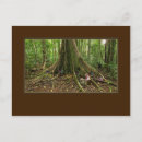 Search for treehouse postcards Enchanted
