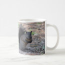 Search for black squirrel mugs Wildlife