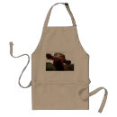 Search for red cow aprons Cows