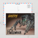 Search for creepy crawlies postcards Spider