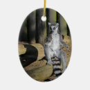 Search for lemur ornaments Animals