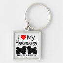 Search for havanese dog keychains Dogs