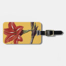 Recherche de amaryllis accessoires Fleur d'amaryllis