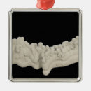 Search for natural sciences ornaments Nobody