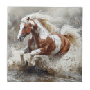 Recherche de chevaux carreaux Cheval