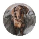 Recherche de mignon ustensiles cuisine Dachshund