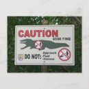 Search for funny sign postcards Alligator