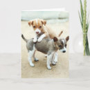 Recherche de deux animaux vœux cartes Chiot