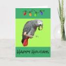 Search for african grey parrot christmas cards Birds