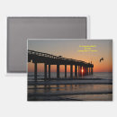 Search for fish magnets Travel