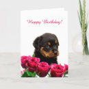 Search for rottweiler birthday cards Puppy