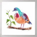 Recherche de biodiversité posters Oiseaux