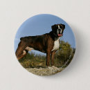 Recherche de canine badges Position