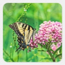 Search for swallowtail butterfly stickers Animal