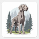 Search for weimaraner dog stickers Cute