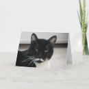 Recherche de cat birthday cards Personnalisation