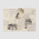 Search for cat tissue paper Collage