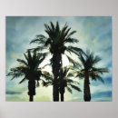 Recherche de quatre arbres posters Nature