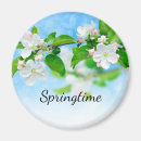 Search for springtime magnets Tree