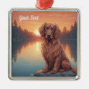 Search for irish setter ornaments Pet