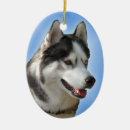 Search for dog sled ornaments Malamute