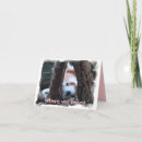 Search for red panda cards Nature