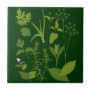 Recherche de herbe carreaux Romarin