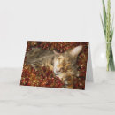 Search for bengal christmas cards Feline