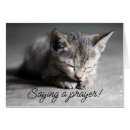 Recherche de chaton triste cartes postales Chatte