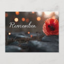 Search for remembrance day poppy postcards Red