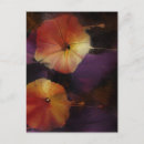 Search for glories postcards Flower