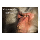 Search for monkey Humour