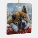 Search for akita ornaments Animal