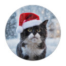 Recherche de chat noir planches à découper Amusant