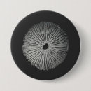 Search for mushroom buttons Fungi