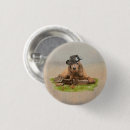 Recherche de hunting hats Pet
