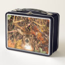 Search for camo lunch boxes Hunting