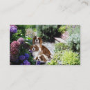Recherche de bred cartes visite Chiot