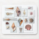 Recherche de coquilles tapis souris Océan