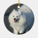 Search for american eskimo dog ornaments Spitz