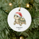 Search for tortoise ornaments Watercolor