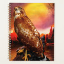 Search for red shouldered hawk Hawks