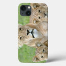 Search for cat ipad cases Nature