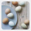 Recherche de nutritionniste autocollants Photographie