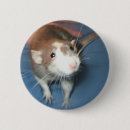 Recherche de rats badges Pour tous